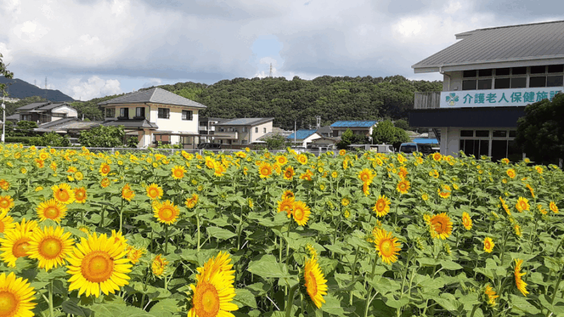 通所リハビリテーションについて