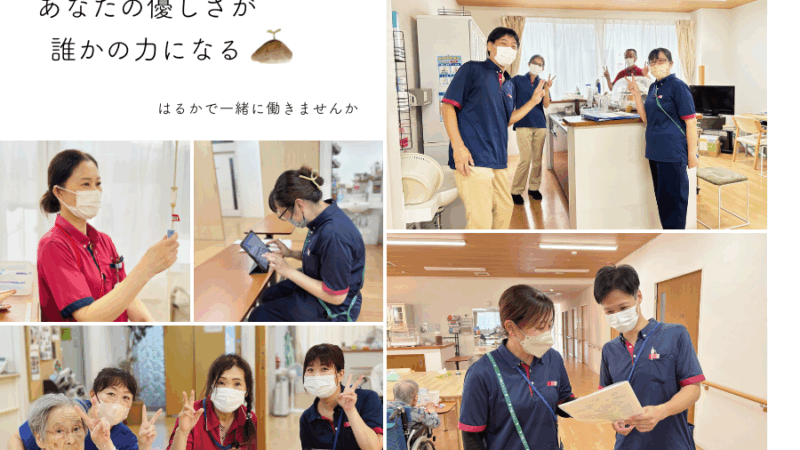 採用情報